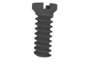 Worm gear of the heater flap motor Denso 1138002320 3D Print Model