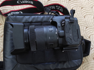 Hood CANON EFS 18-135mm Zoom Lens 3D Print Model