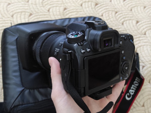 Hood CANON EFS 18-135mm Zoom Lens 3D Print Model