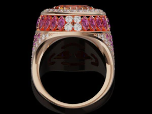 Gemstones ring 3D Print Model