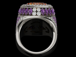 Gemstones ring 3D 打印模型