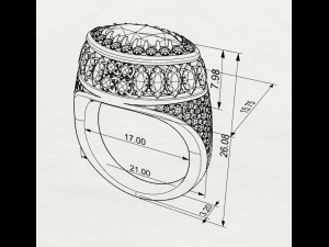 Gemstones ring 3D 打印模型