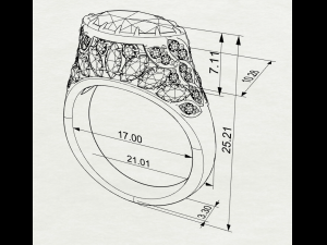 Gemstones ring 3D 打印模型