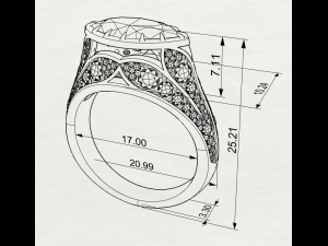 Gemstones ring 3D Print Model