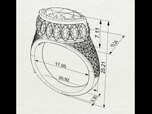 Gemstones ring Modello di stampa 3D