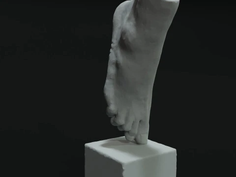 Scultura del piede Modello 3D