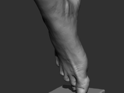 Foot Sculpture 3D Модель