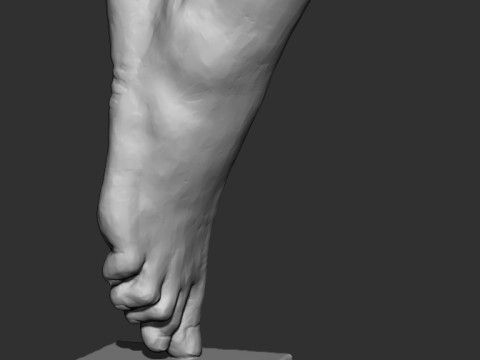 Foot Sculpture 3D Модель
