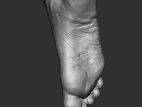 Foot Sculpture 3D Модель