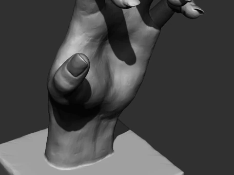 Hand Sculpture 3D Model