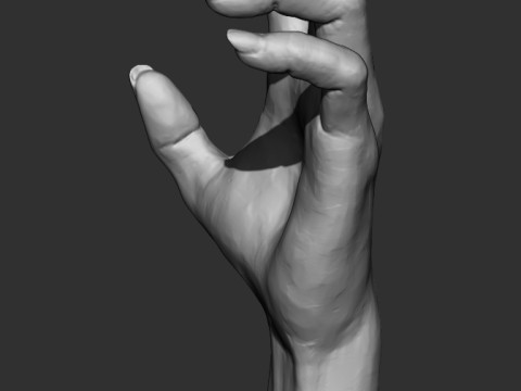 Hand Sculpture Model 3D