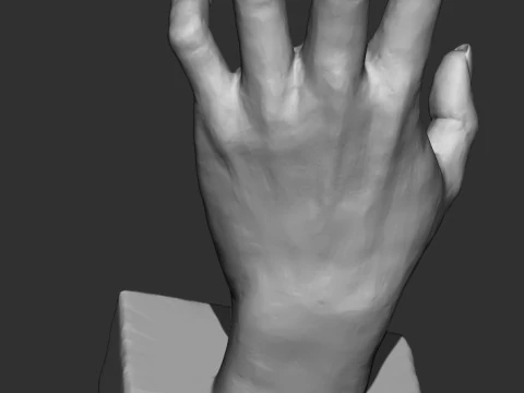 Hand Sculpture 3D Model