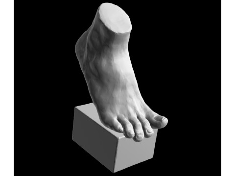 Foot Sculpture 3D Model