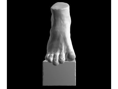 Foot Sculpture 3D 모델