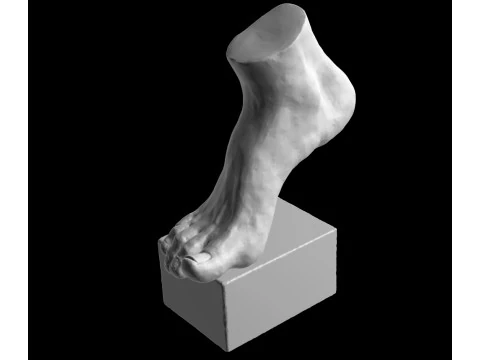 Foot Sculpture 3D Model