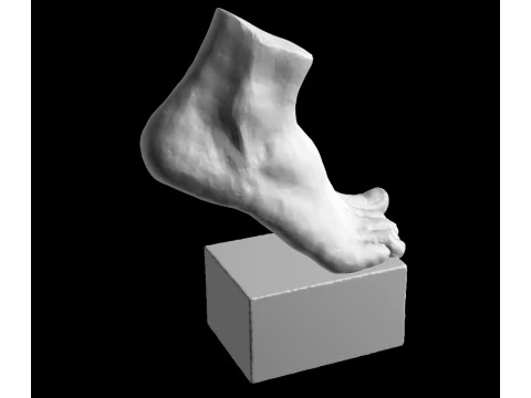 Foot Sculpture 3D Model