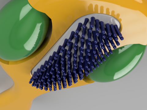 Massager Modèle 3D