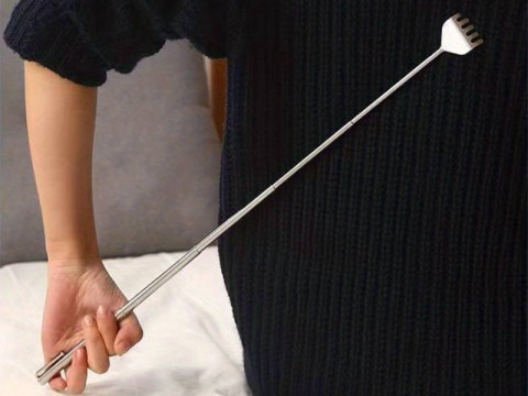 Telescopic Backscratcher Model 3D