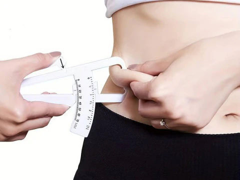 Body Fat Caliper 3D Model