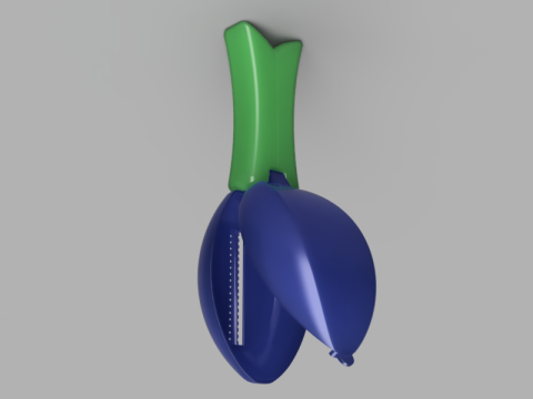 Fish Scaler 3D मॉडल