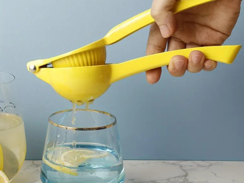 Manual Lemon Squeezer Model 3D