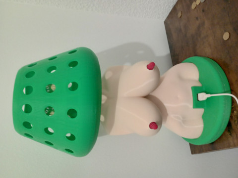 Womens Body Shape Lamp DIY Modèle 3D