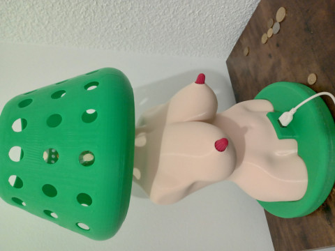 Womens Body Shape Lamp DIY Modèle 3D