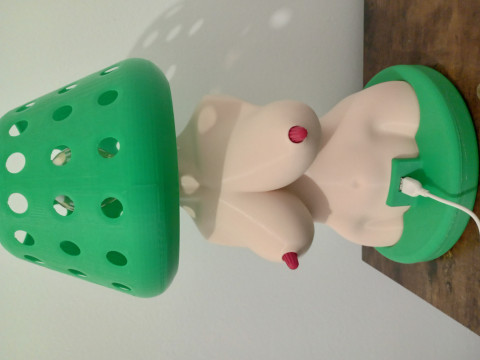 Womens Body Shape Lamp DIY Modèle 3D