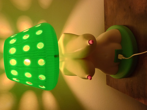 Womens Body Shape Lamp DIY Modèle 3D