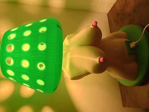 Womens Body Shape Lamp DIY Modèle 3D
