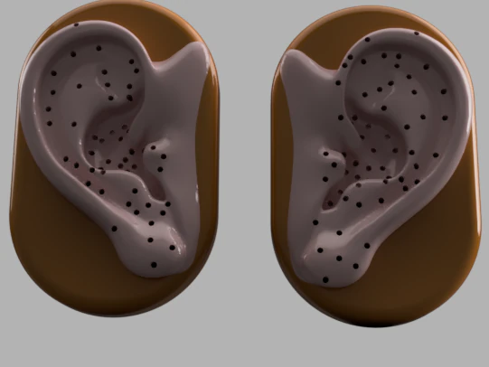 Acupuncture Ear Model 3D Print Model .c4d .max .obj .3ds .fbx .stl .blend 