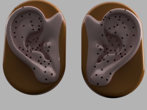 Acupuncture Ear Model 3D Принт Модель