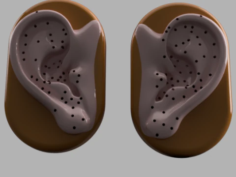 Modelo de ouvido de acupuntura Modelo de Impressão 3D