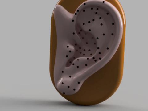 Acupuncture Ear Model 3D Print Model