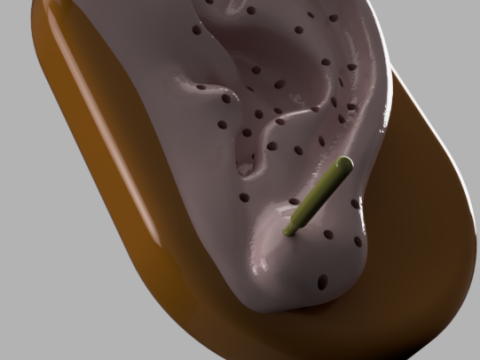 Acupuncture Ear Model Modelo de impresión 3D