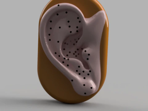 Acupuncture Ear Model 3D Print Model