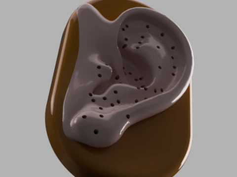 Acupuncture Ear Model 3D Print Model