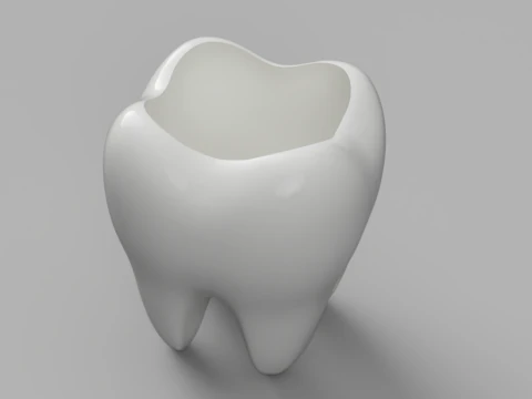 Tooth Container Model 3D Model