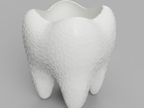 Tooth Container Model 3D Model