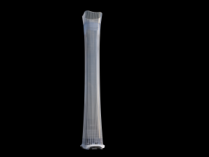 China Zun beijing 3D Модель