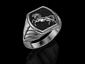 Ring of the Horse 3D print model 13 3Dモデル