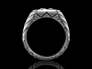 Ring of the Horse 3D print model 13 3D मॉडल