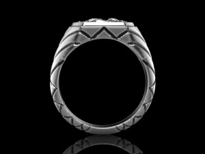 Ring of the Horse 3D print model 13 3D Model