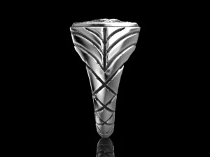 Ring of the Horse 3D print model 13 3D Model