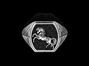 Ring of the Horse 3D print model 13 3D मॉडल