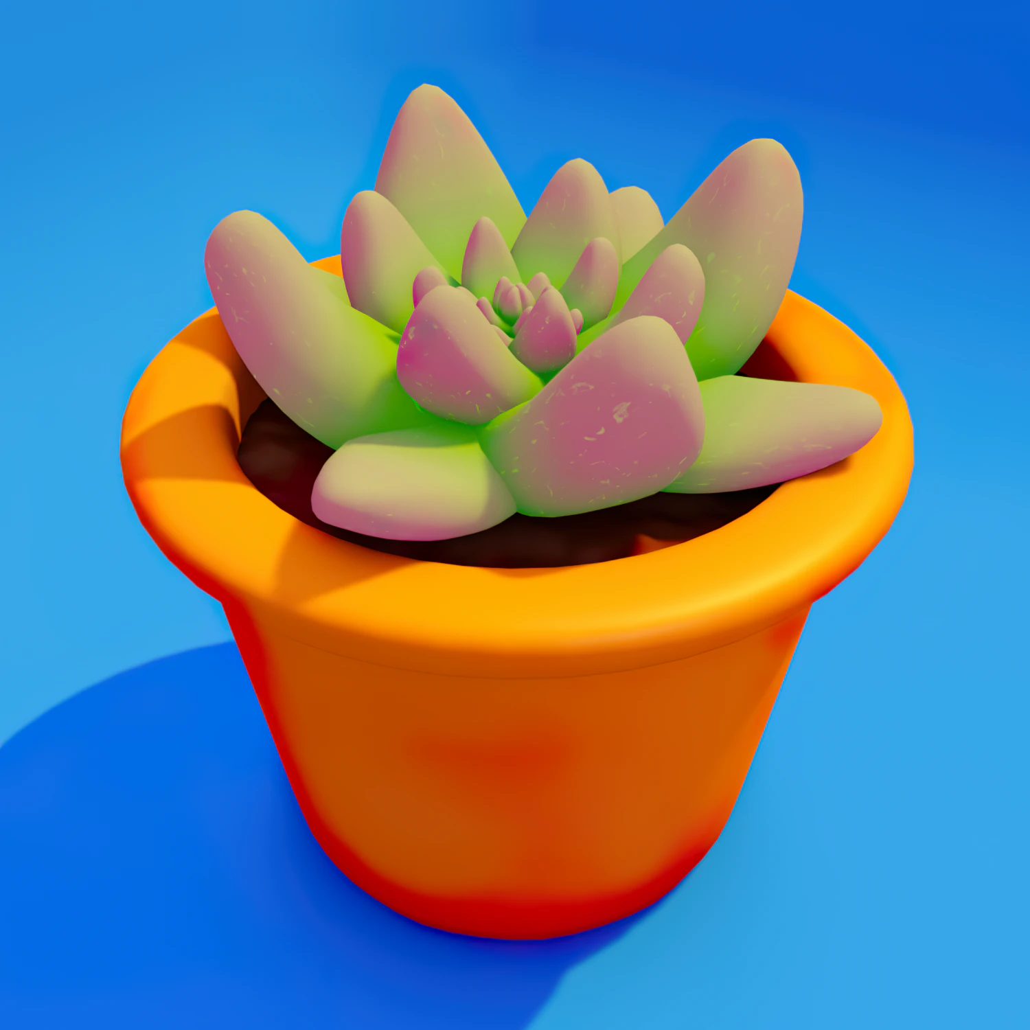 Cactus in the pot succulent 3D Model .c4d .max .obj .3ds .fbx .stl .blend