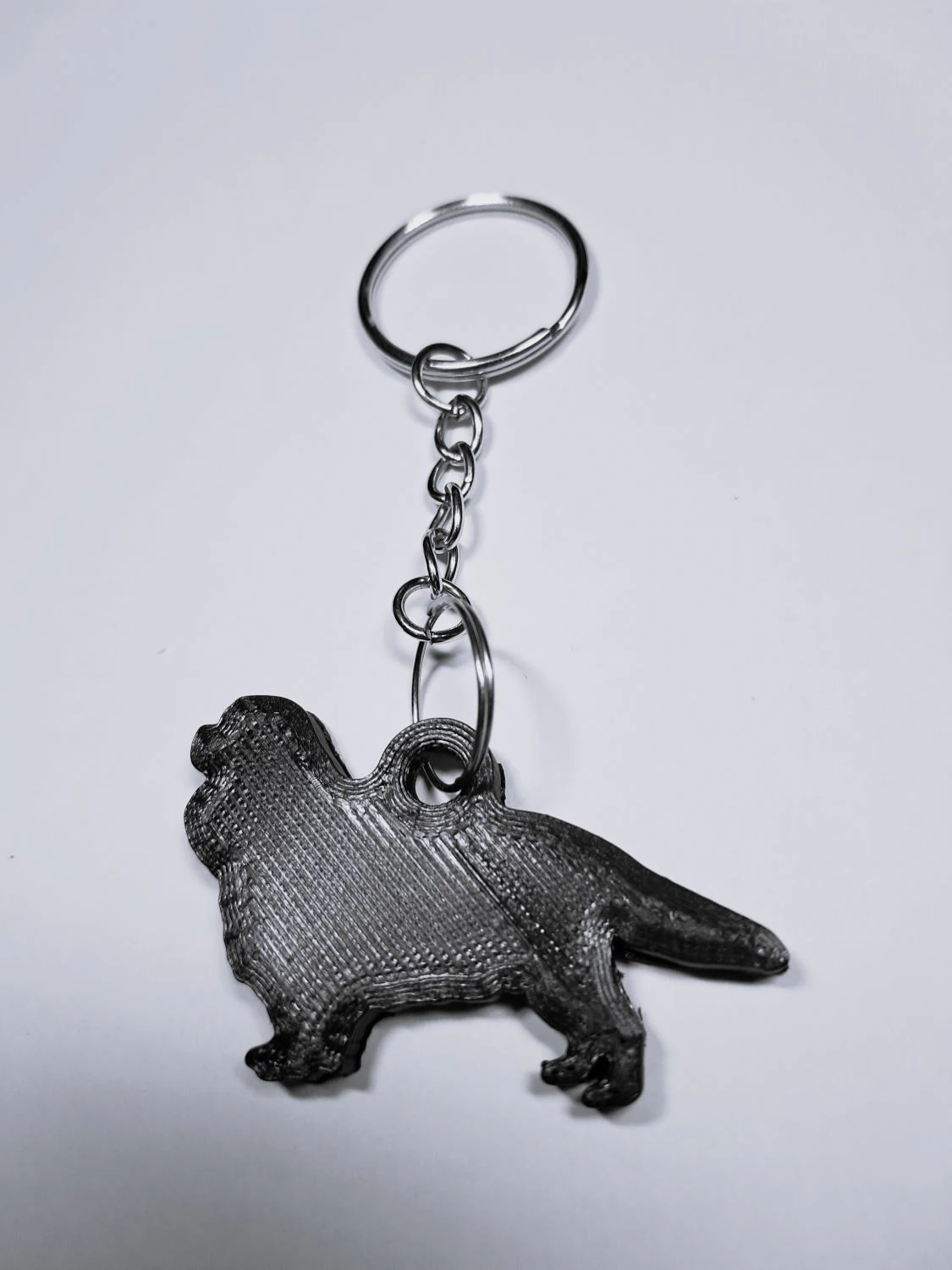 Cavalier King Charles Spaniel keychain 3D Print Model .c4d .max .obj .3ds .fbx .stl .blend