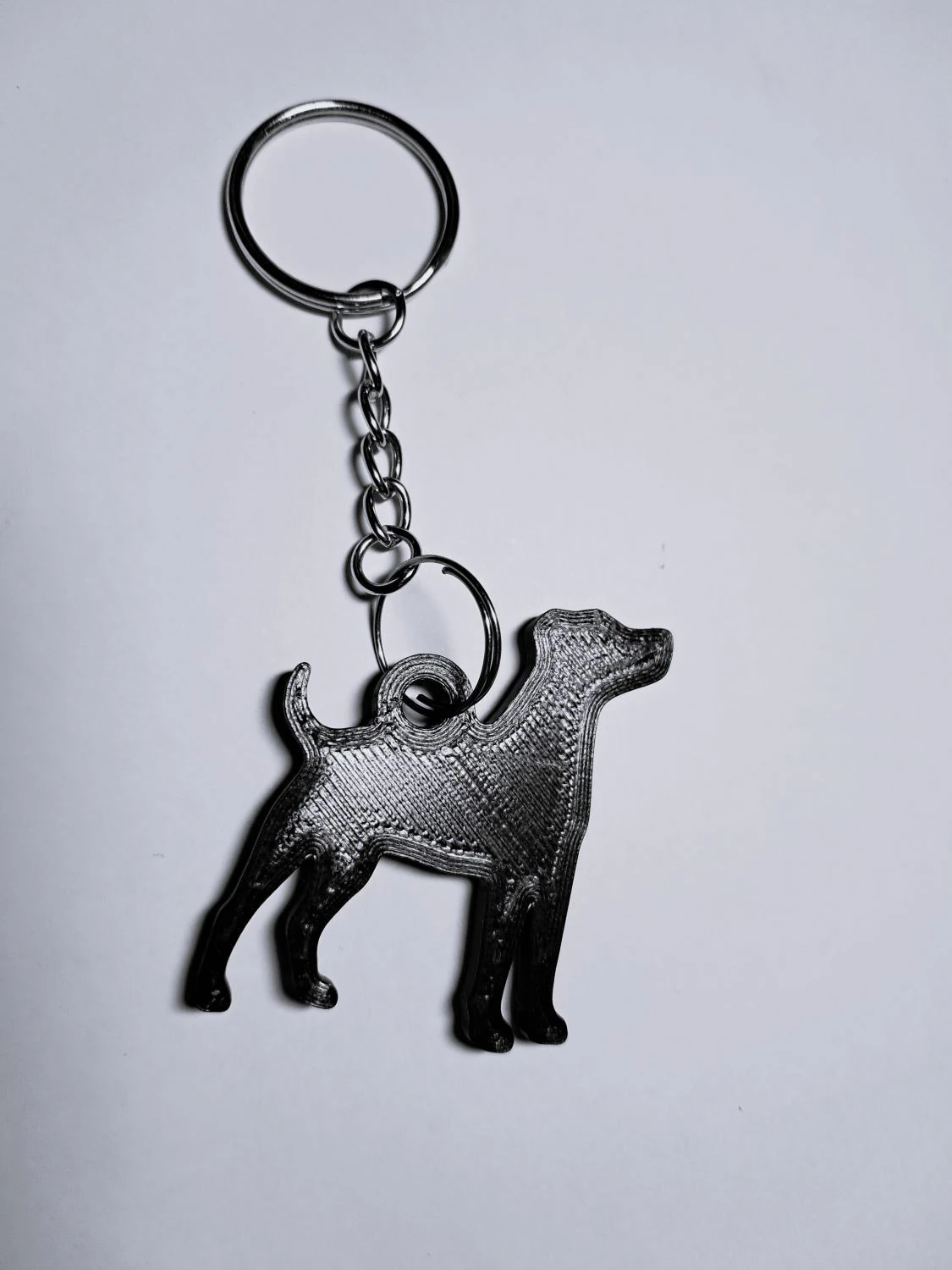 Jack Russell Terrier keychain 3D Print Model .c4d .max .obj .3ds .fbx .stl .blend 