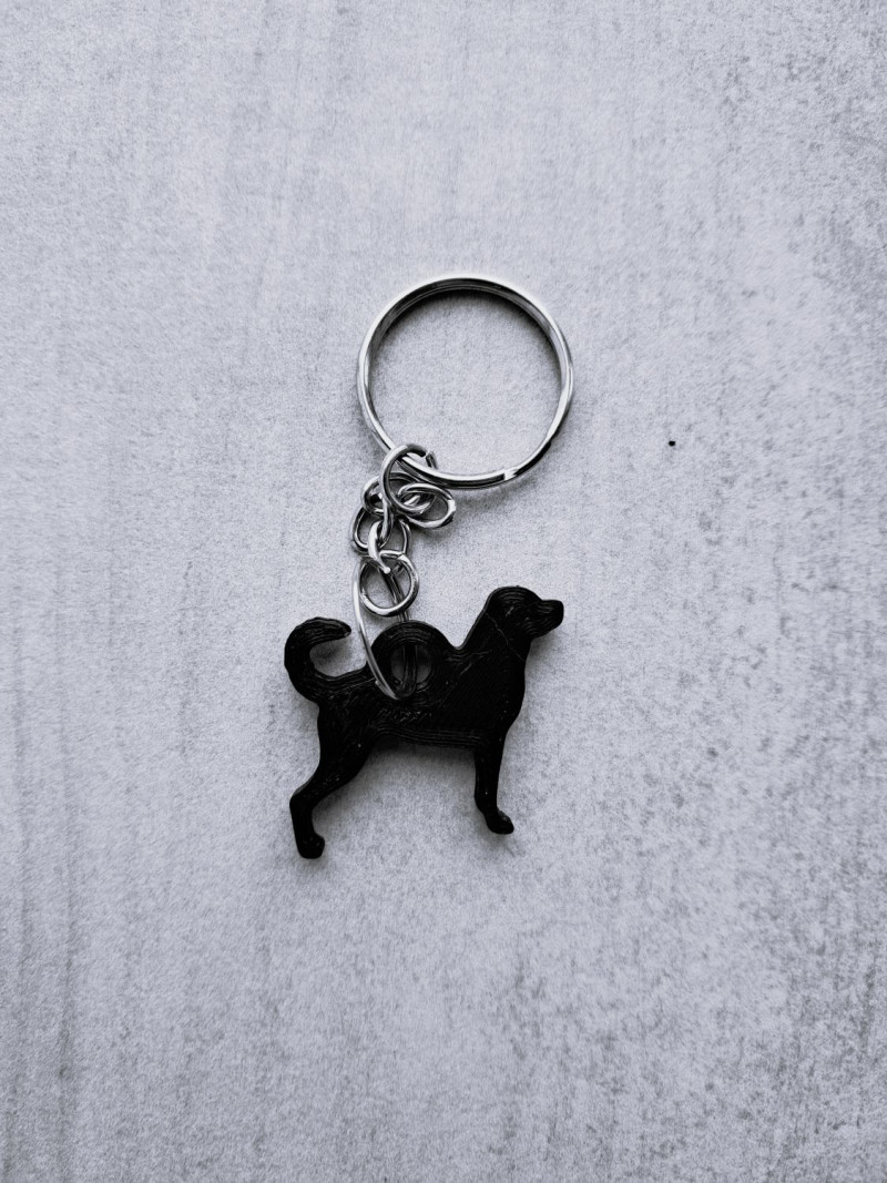 Rottweiler keychain Model Cetak 3D .c4d .max .obj .3ds .fbx .stl .blend