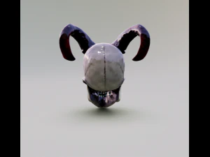 서큐버스 해골 3D 모델